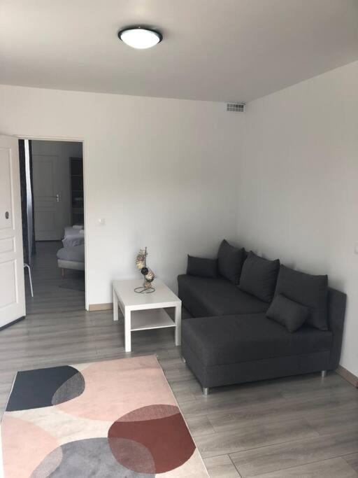 Top Appartement 10 Minutes De Disney Chessy  Esterno foto